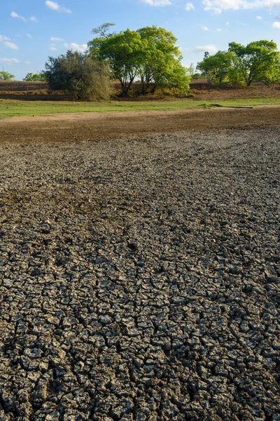 Terrain Sec Fissuré Causé Par Sécheresse Paraiba Brésil Changement Climatique — Photo