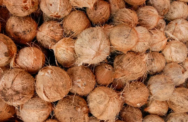 Endüstriyel işlem için kuru hindistan cevizleri.