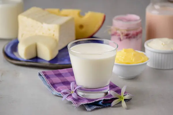 Milchprodukte Milch Und Derivate — Stockfoto