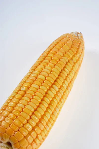 Organiczne Kolby Kukurydzy Izolowane Białym Tle — Zdjęcie stockowe