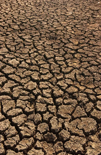 Terrain Sec Fissuré Causé Par Sécheresse Paraiba Brésil Changement Climatique — Photo