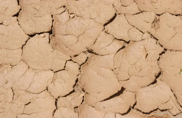 Dry Cracked Ground Caused Drought Paraiba Brazil Climate Change Water — Stock Photo, Image