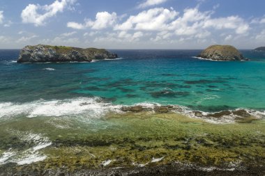 Fernando de Noronha Adası, Pernambuco, Brezilya, 14 Aralık 2021. Aslan sahili..