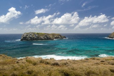 Fernando de Noronha Adası, Pernambuco, Brezilya, 14 Aralık 2021. Aslan sahili..