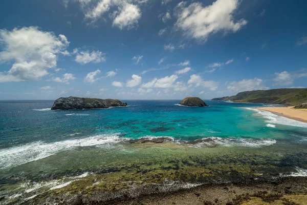 Fernando de Noronha Adası, Pernambuco, Brezilya, 14 Aralık 2021. Aslan sahili..