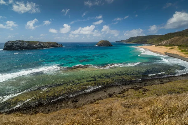 Fernando de Noronha Adası, Pernambuco, Brezilya, 14 Aralık 2021. Aslan sahili..