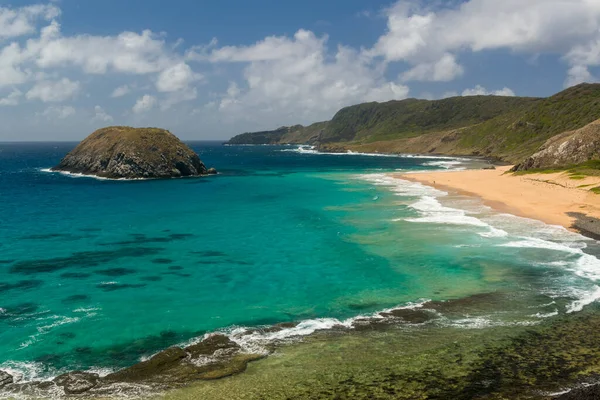 Fernando de Noronha Adası, Pernambuco, Brezilya, 14 Aralık 2021. Aslan sahili..