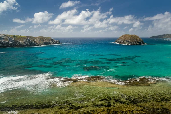 Fernando de Noronha Adası, Pernambuco, Brezilya, 14 Aralık 2021. Aslan sahili..