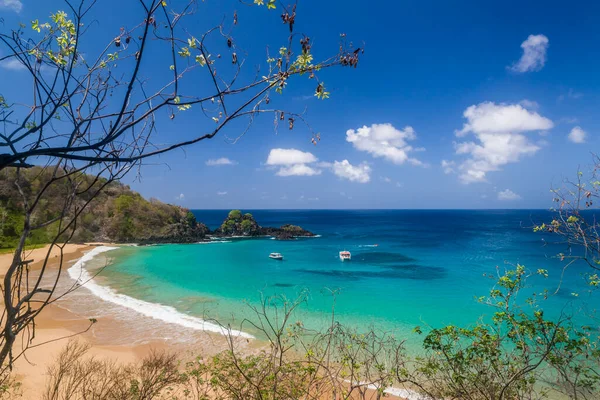 Fernando de Noronha, Sancho Körfezi Sahili, Pernambuco, Brezilya 14 Aralık 2021