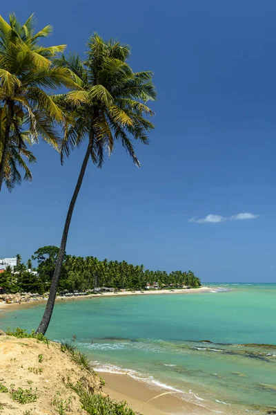 Japaratinga Beach Alagoas Βραζιλία Στις Φεβρουαρίου 2022 Βορειοανατολική Βραζιλία — Φωτογραφία Αρχείου