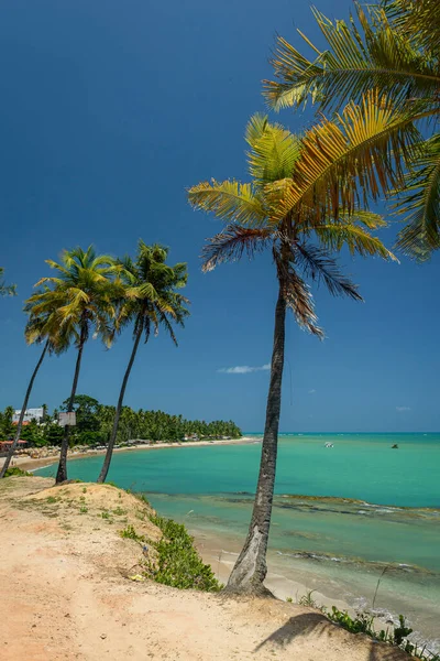 Japaratinga Beach Alagoas Brasilien Februar 2022 Nordostbrasilien — Stockfoto