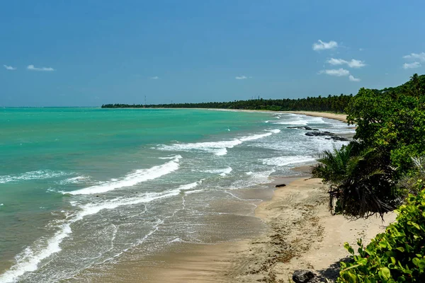 Pantai Japaratinga Alagoas Brasil Pada Februari 2022 Brazil Timur Laut — Stok Foto