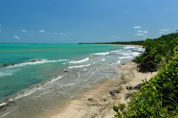 Japaratinga Sahili Alagoas Brezilya Şubat 2022 Kuzeydoğu Brezilya — Stok fotoğraf