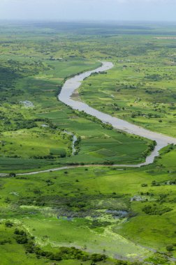 2 Temmuz 2008 'de Brezilya, Paraiba, Sobrado' daki Paraiba Nehri 'nin ırmak ormanını ilerletir ve temizler. Hava görünümü.