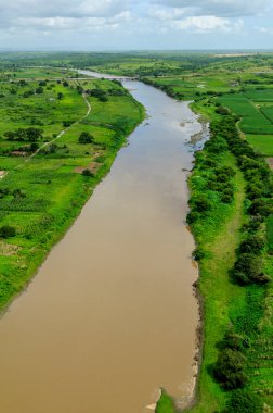 2 Temmuz 2008 'de Brezilya, Paraiba, Sobrado' daki Paraiba Nehri 'nin ırmak ormanını ilerletir ve temizler. Hava görünümü.