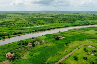 2 Temmuz 2008 'de Brezilya, Paraiba, Sobrado' daki Paraiba Nehri 'nin ırmak ormanını ilerletir ve temizler. Hava görünümü.