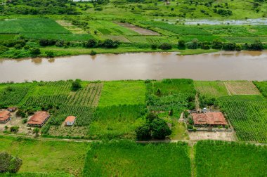 2 Temmuz 2008 'de Brezilya, Paraiba, Sobrado' daki Paraiba Nehri 'nin ırmak ormanını ilerletir ve temizler. Hava görünümü.
