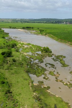 2 Temmuz 2008 'de Brezilya, Paraiba, Sobrado' daki Paraiba Nehri 'nin ırmak ormanını ilerletir ve temizler. Hava görünümü.