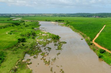 2 Temmuz 2008 'de Brezilya, Paraiba, Sobrado' daki Paraiba Nehri 'nin ırmak ormanını ilerletir ve temizler. Hava görünümü.
