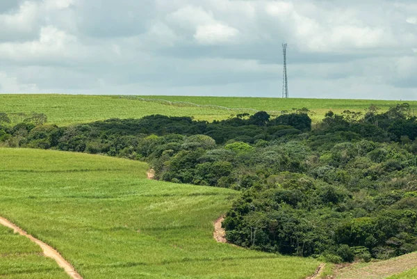 Agriculture Environment Sugarcane Cultivation Advancing Atlantic Forest Remnants Goiana Pernambuco — Stockfoto