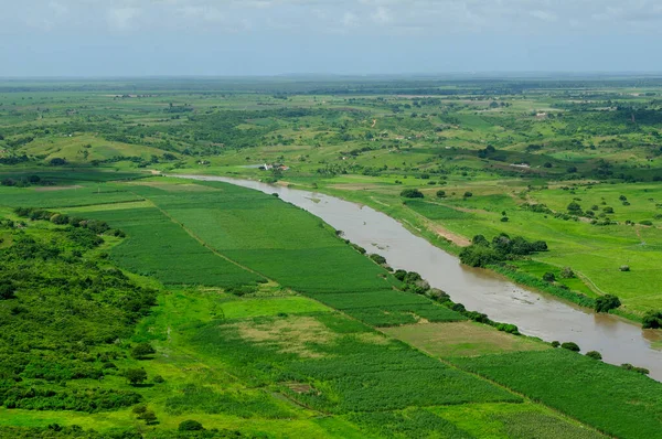 2 Temmuz 2008 'de Brezilya, Paraiba, Sobrado' daki Paraiba Nehri 'nin ırmak ormanını ilerletir ve temizler. Hava görünümü.