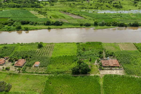 Agriculture Advances Clears Riparian Forest Paraiba River Sobrado Paraiba Brazil — Stockfoto