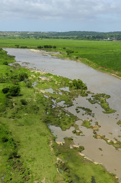 2 Temmuz 2008 'de Brezilya, Paraiba, Sobrado' daki Paraiba Nehri 'nin ırmak ormanını ilerletir ve temizler. Hava görünümü.