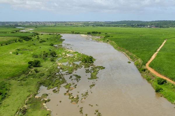 2 Temmuz 2008 'de Brezilya, Paraiba, Sobrado' daki Paraiba Nehri 'nin ırmak ormanını ilerletir ve temizler. Hava görünümü.