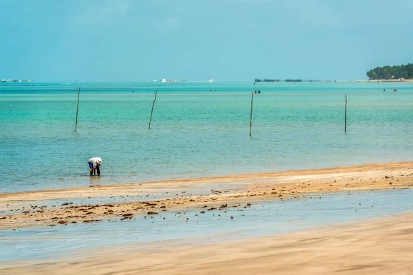 Antunes Beach Maragogi Alagoas Brazil April 2019 — Stock Fotó