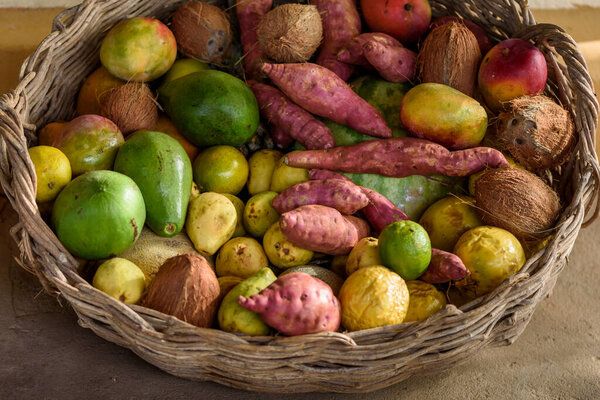 Organic Brazilian agricultural products in basket. Avocado, sweet potato, passion fruit, guava, lime, coconut and passion fruit. — Stock Image Organic Brazilian Agricultural Products Basket Avocado Sweet Potato Passion Fruit Stock Picture