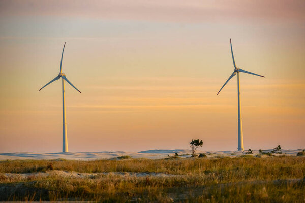 Tramandai wind farm, Rio Grande do Sul, Brazil on May 14, 2016. Late afternoon light. — Stock Image Tramandai Wind Farm Rio Grande Sul Brazil May 2016 Late Stock Picture