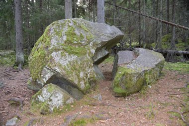 Bir kozalaklı ormanda bir taş bloğun iki parçası..