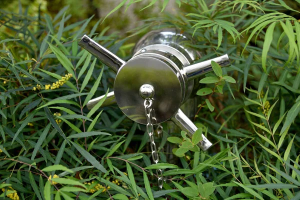 Uzun otların arasında parlak metalden yapılmış bir yangın musluğu..