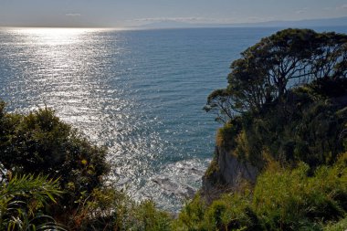 Pasifik Okyanusu 'ndaki Enoshima adasının kıyısında..