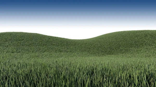Рендеринг Травянистых Горных Пейзажей — стоковое фото