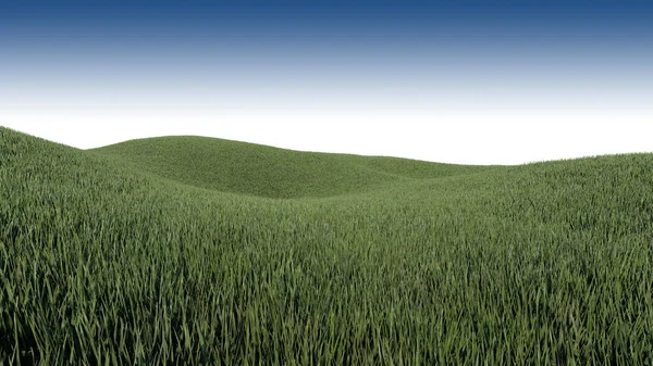 Rendering Grassed Hill Nature Scenery — ストック写真