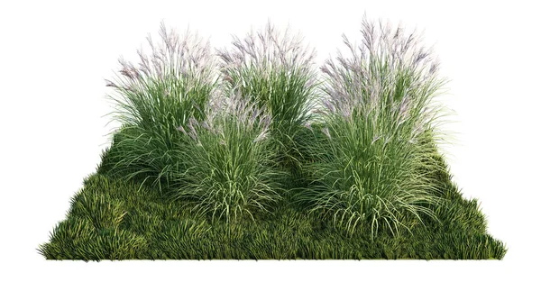 Yeşil çimen tarlasında bir sürü çim çiçeğinin 3D görüntüsü