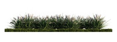 Yeşil çimen tarlasında bir sürü çim çiçeğinin 3D görüntüsü