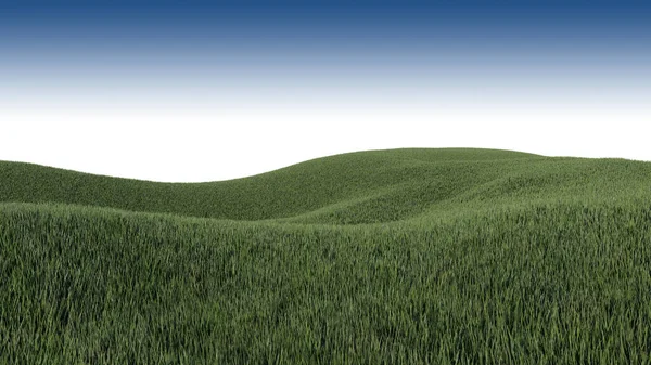 Rendering Grassed Hill Nature Scenery — ストック写真