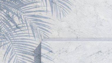 A 3d rendering image of white marble product display on the wall.