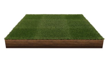 Çim alan adasının şeffaf arkaplandaki 3D görüntüsü