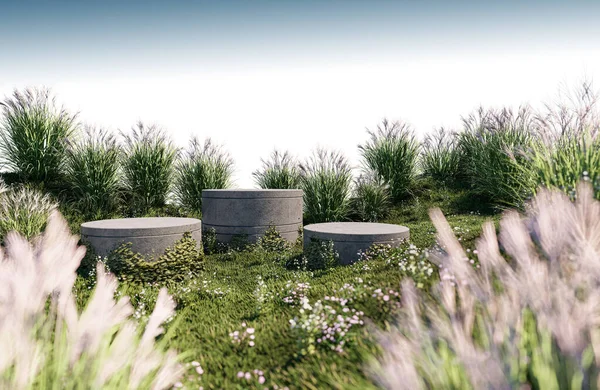 Rendering Image Product Display Grass Field — 图库照片