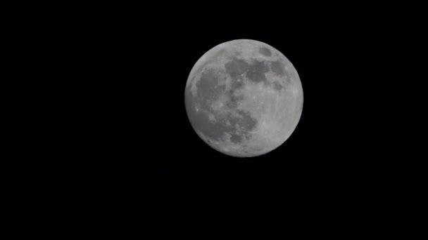 Full Moon On Dark Night Shines In The Sky Without Clouds Closeup Shot Of The Full Moon Moving Across The Sky Stock Video C Panophotograph