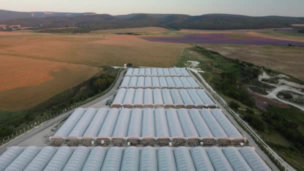 Letecký pohled na obrovské plochy skleníku pro pěstování zeleniny. Zemědělství ve sklenících, zemědělství. Létání nad velkými průmyslovými skleníky při západu slunce.
