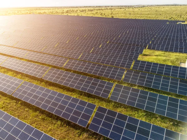 Aerial top view of a solar panels power plant. Photovoltaic solar panels at sunrise and sunset in countryside from above. Modern technology, climate care, earth saving, renewable energy concept