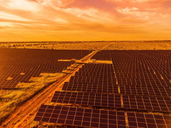 Aerial top view of a solar panels power plant. Photovoltaic solar panels at sunrise and sunset in countryside from above. Modern technology, climate care, earth saving, renewable energy concept