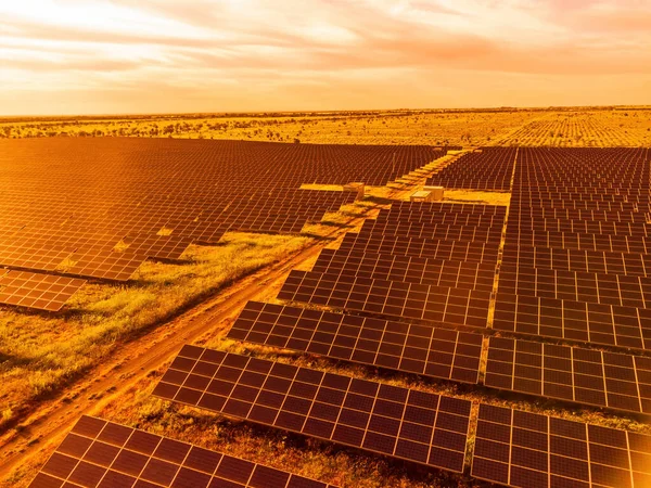 Aerial top view of a solar panels power plant. Photovoltaic solar panels at sunrise and sunset in countryside from above. Modern technology, climate care, earth saving, renewable energy concept