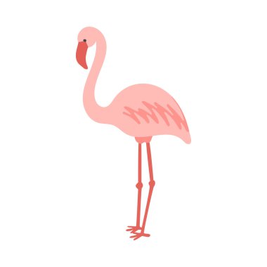 Sevimli soluk pembe flamingo vektör çizimi