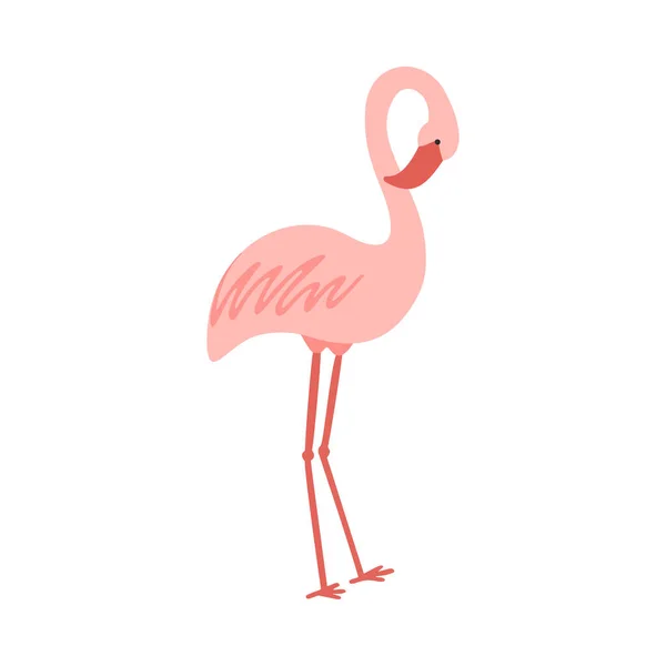 Standing cute pale pink flamingo vector illustration — Stock Vector