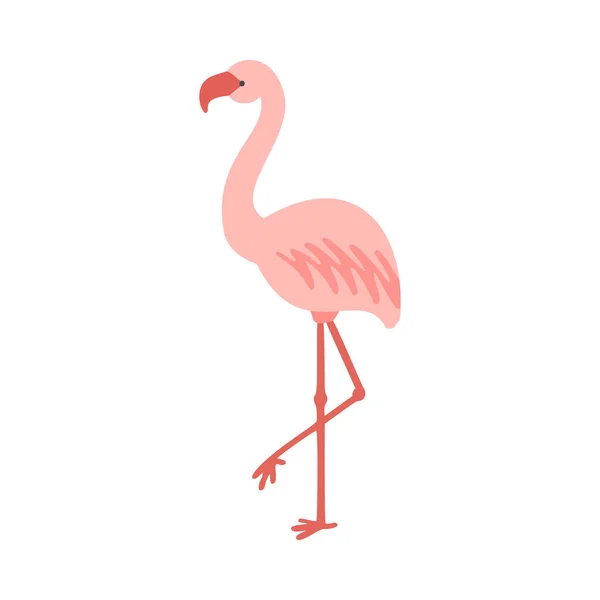 De pé bonito rosa pálido flamingo vetor ilustração —  Vetores de Stock